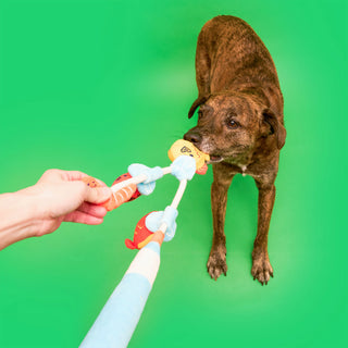 the furryfolks Fishing Nose Work & Tug Toy - Henlo Pets
