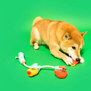 the furryfolks Fishing Nose Work & Tug Toy - Henlo Pets