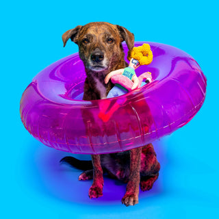 the furryfolks Flamingo Hooman Nose Work Dog Toy - Henlo Pets