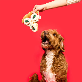 the furryfolks Pizza Nosework Dog Toy - Henlo Pets