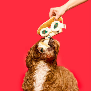 the furryfolks Pizza Nosework Dog Toy - Henlo Pets