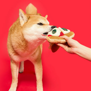 the furryfolks Pizza Nosework Dog Toy - Henlo Pets