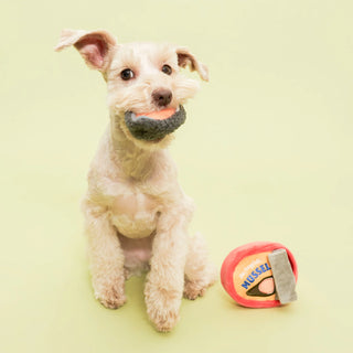 the furryfolks Tinned Mussel Nosework Dog Toy - Henlo Pets