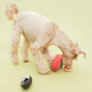 the furryfolks Tinned Mussel Nosework Dog Toy - Henlo Pets