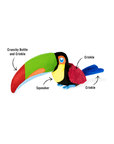 P.L.A.Y. Fetching Flock Tito the Toucan Plush Dog Toy - Henlo Pets