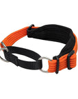 Black Dog Wear - Whippet Two Tone Specialised Collar - Henlo Pets