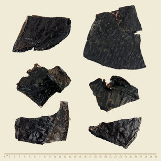 Wildkind Western Australian Air Dried Beef Liver
