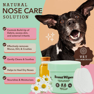 Natural Dog Company - Snout Wipes - Henlo Pets