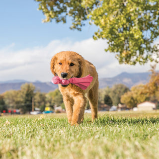 KONG - Wubba Puppy Tug Dog Toy | Henlo Pets