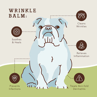 Natural Dog Company - Wrinkle Balm Tin - Henlo Pets