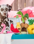 P.L.A.Y. Tropical Paradise Plush Dog Toy Collection - Henlo Pets