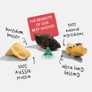 The Pet Project Australian Beef Hooves Dog Treats | Henlo Pets