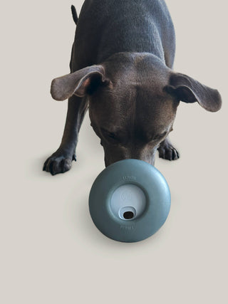 Lunoji Pebble Slow Feeder & Treat Dispenser | Henlo Pets