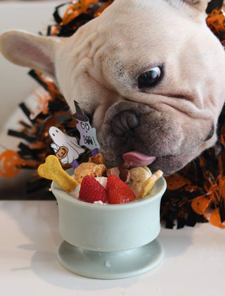 Lunoji CHEWDEN Trove Frozen Treat Cup Dog Enrichment Feeder | Henlo Pets