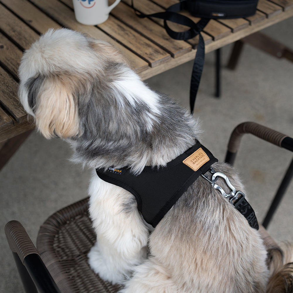 Charlie's Backyard - Town Cordura® Harness Black - Henlo Pets