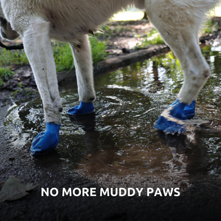 PawZ Rubber Dog Boots - 12 Boots - Henlo Pets