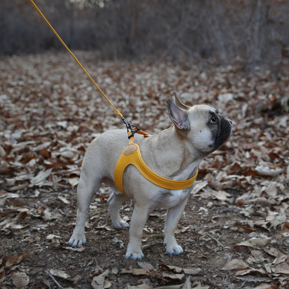 Charlie's Backyard - Buckle Up Easy Harness Yellow - Henlo Pets