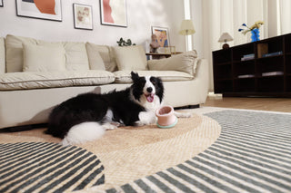 The Puzzle Feeder Dog Puzzle Tumbler Puzzle Feeder Enrichment Toy (Two Sizes)