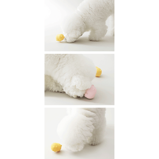 Bite Me Jelly Bear Silicone Nose Work Ball Toy Set | Henlo Pets