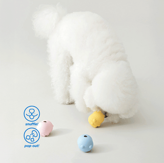 Bite Me Jelly Bear Silicone Nose Work Ball Toy Set | Henlo Pets