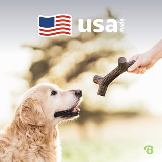 Benebone Bacon Stick Durable Dog Chew | Henlo Pets