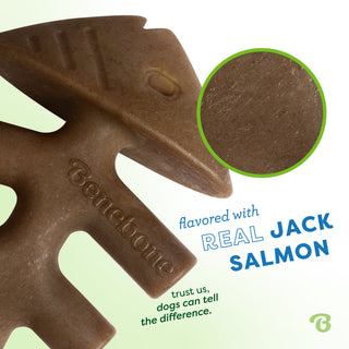 Benebone Jack Salmon Fishbone Durable Dog Chew Toy