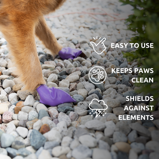 PawZ Rubber Dog Boots - 12 Boots - Henlo Pets