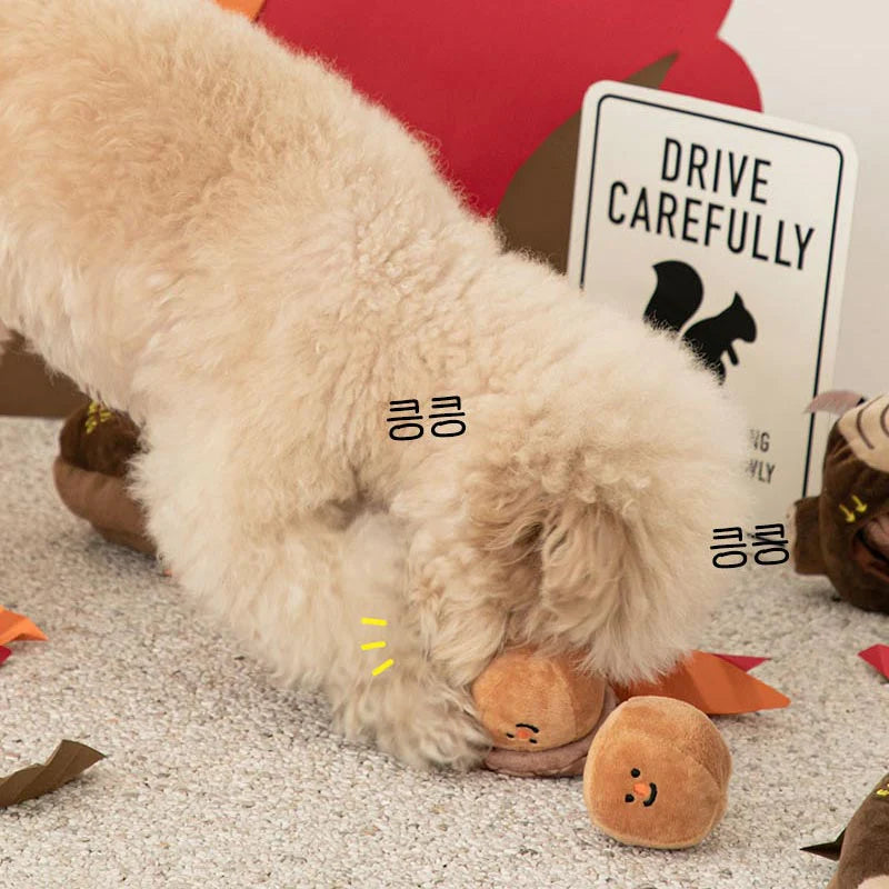 Dog sales toy acorn