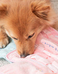 Bite Me - Fluffy Towel Nose Work Dog Toy - Henlo Pets