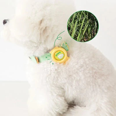 Bite Me - Hate Me Insect Repellent Band - Henlo Pets