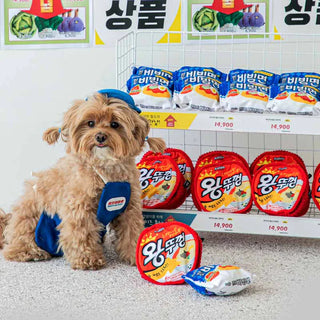 Paldo x Bite Me - Korean Instant Noodles Nose Work Toy - Henlo Pets