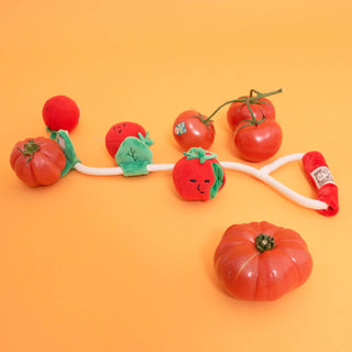 Cherry Tomato Nose Work & Tug Toy - Henlo Pets