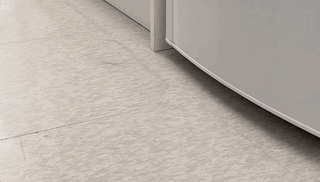 Bite Me Jelly Bear Silicone Nose Work Ball Toy Set | Henlo Pets