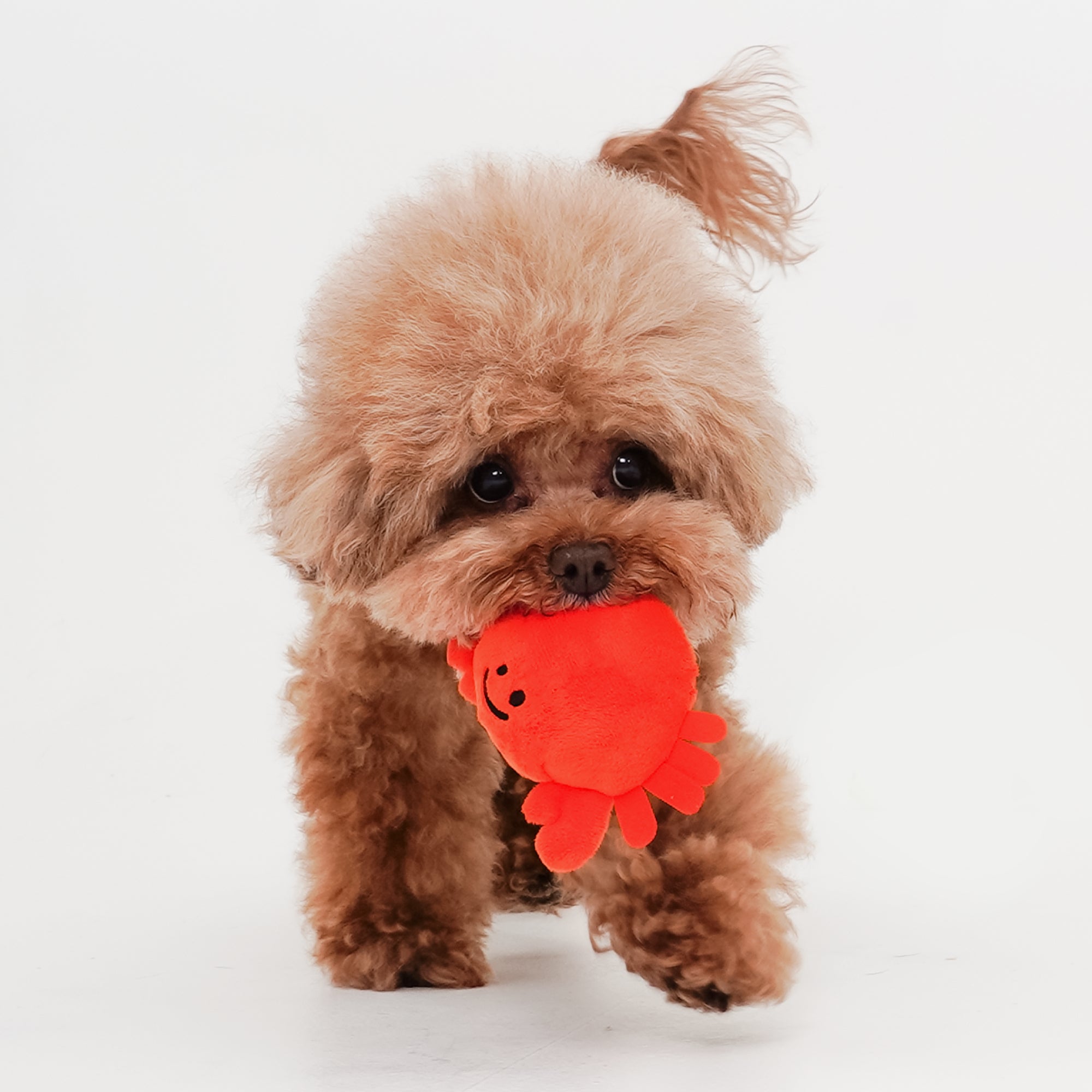 Bacon Crab & Friends Plush Dog Toy - Henlo Pets