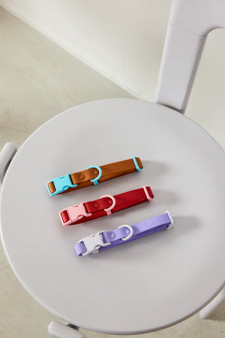 Approved by Fritz Choco Blue Dog Collar | Henlo Pets