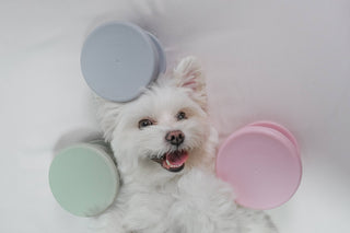 Lunoji CHEWDEN Trove Frozen Treat Cup Dog Enrichment Feeder