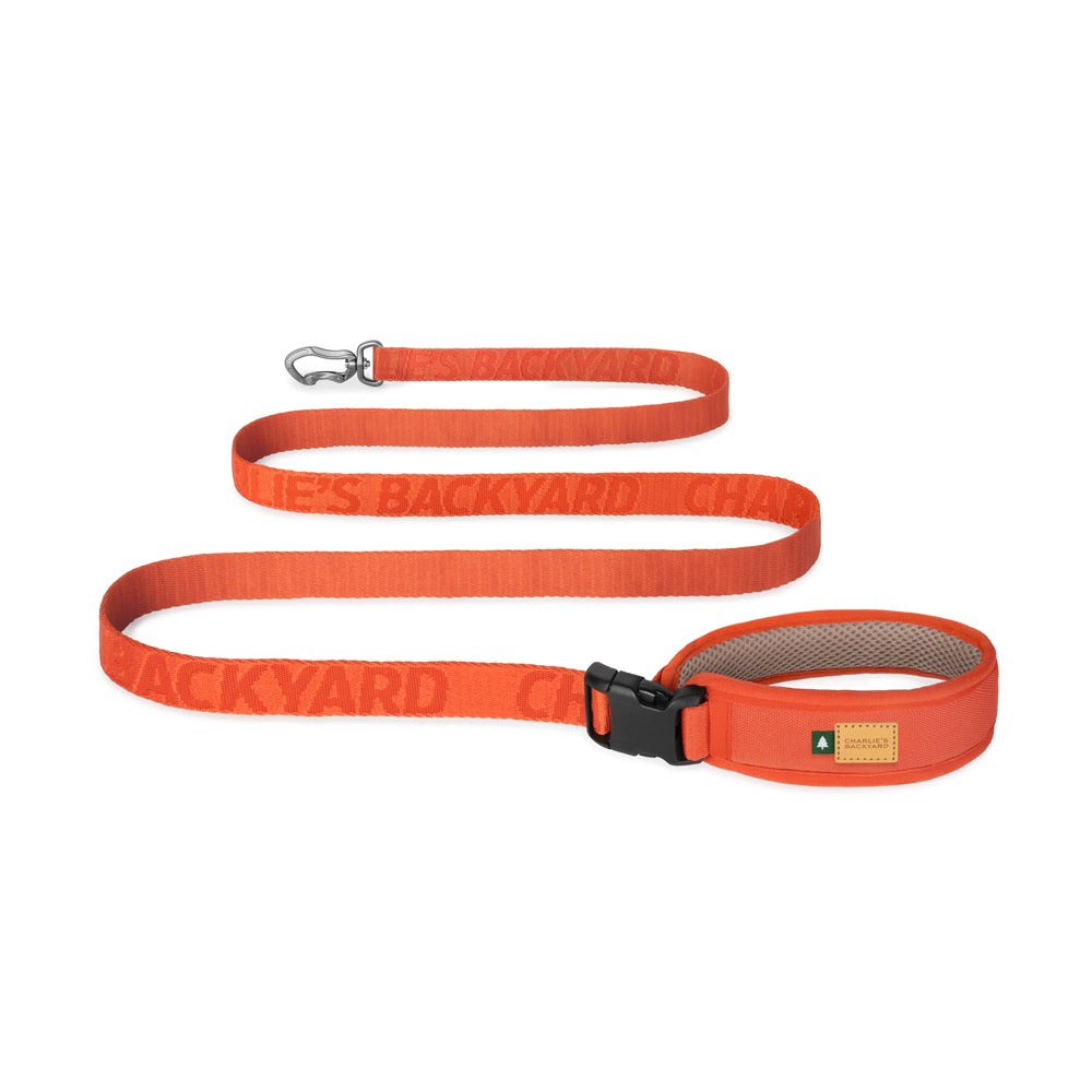 Charlie&#39;s Backyard - Town Cordura® Leash Orange - Henlo Pets