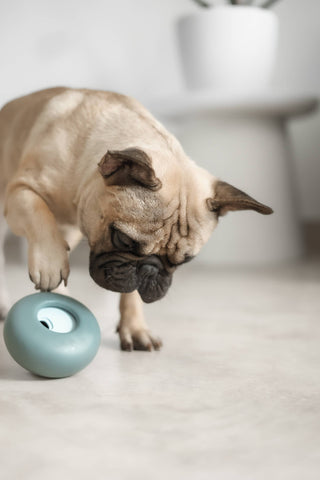 Lunoji Pebble Slow Feeder & Treat Dispenser | Henlo Pets