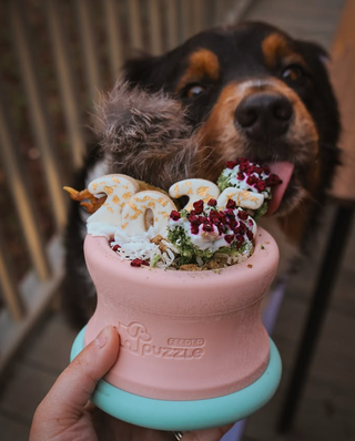 The Puzzle Feeder Dog Puzzle Tumbler Puzzle Feeder Enrichment Toy (Two Sizes)