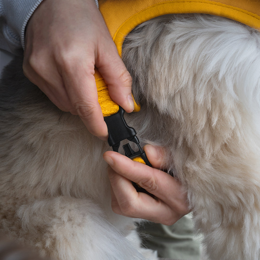 Charlie&#39;s Backyard - Town Cordura® Harness Yellow - Henlo Pets