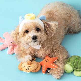 Bite Me Sea Friends Nose Work Plush Dog Toy | Henlo Pets