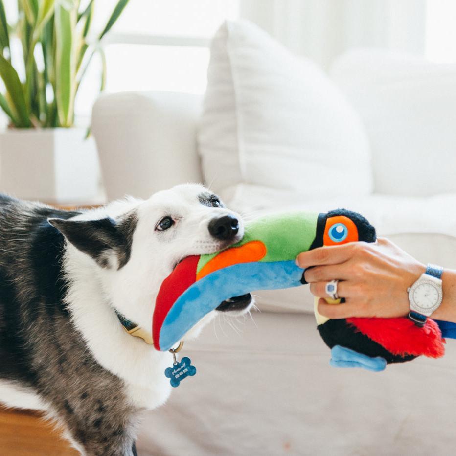 P.L.A.Y. Fetching Flock Tito the Toucan Plush Dog Toy - Henlo Pets