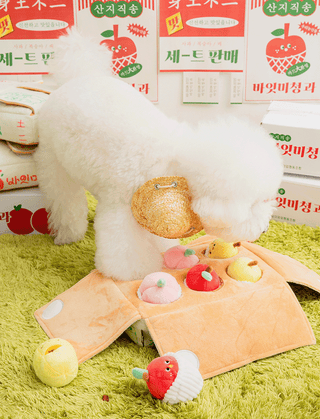 Bite Me Mixed Fruits Nose Work Toy | Henlo Pets