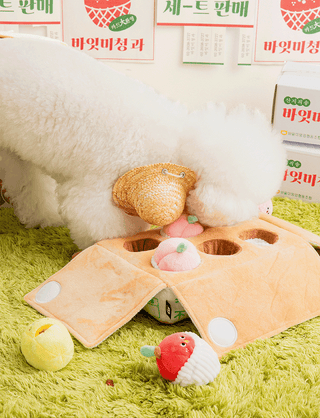 Bite Me Mixed Fruits Nose Work Toy | Henlo Pets