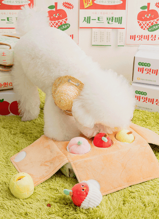 Bite Me Mixed Fruits Nose Work Toy | Henlo Pets