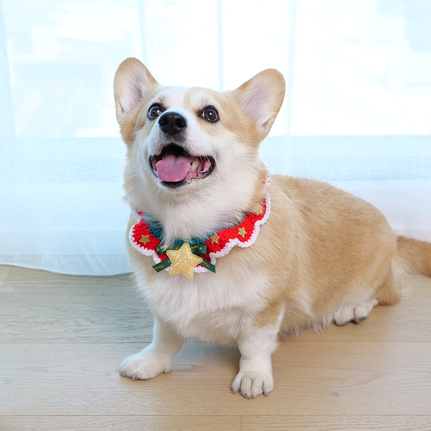 Twinkle Sprinkle Star Bandana for Dog &amp; Cat - Henlo Pets