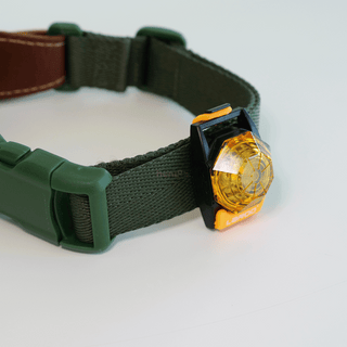 Laroo Beacon Rechargeable LED Safety Light | Henlo Pets