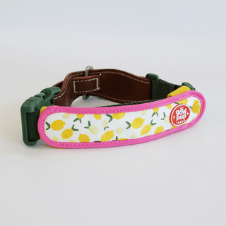 Laroo Glow Pup Strap Blinker LED Safety Light | Henlo Pets