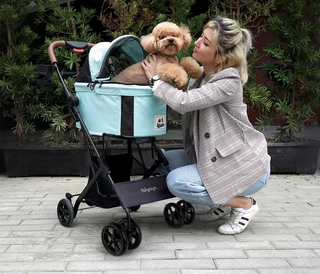 Ibiyaya 3-in-1 Travois Detachable Carrier Pet Stroller for Small to Medium Pets - Spearmint - Henlo Pets