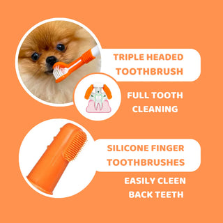 Dogslife Complete Dental Care Care Kit | Henlo Pets